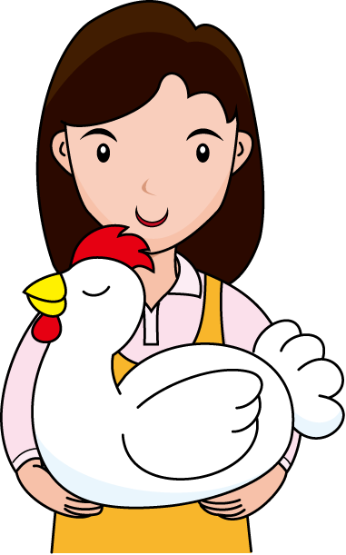 畜産12-にわとり イラスト