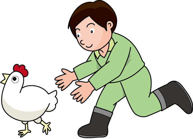 畜産14-にわとり イラスト