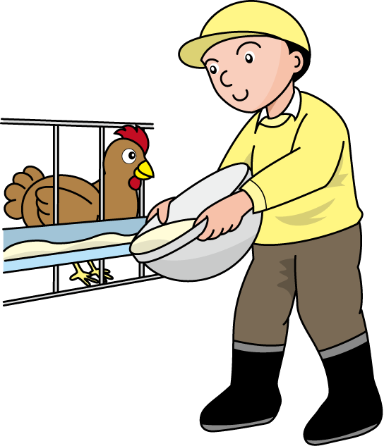 畜産18-鶏 イラスト