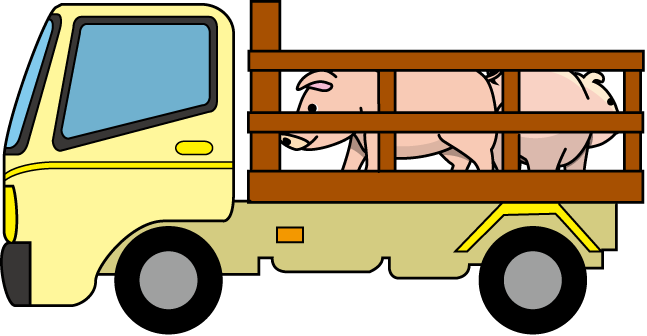 畜産25-豚 イラスト