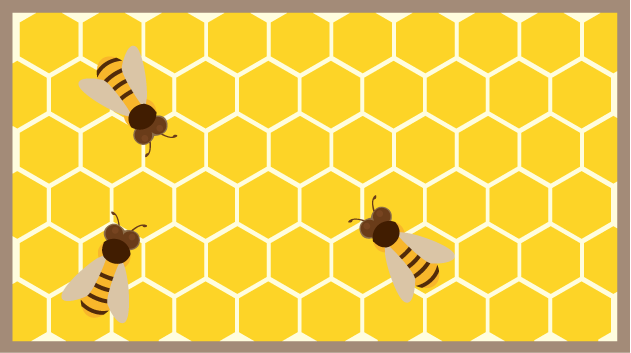 畜産26-養蜂 イラスト