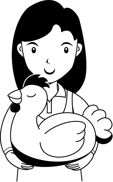 畜産12-にわとり イラスト
