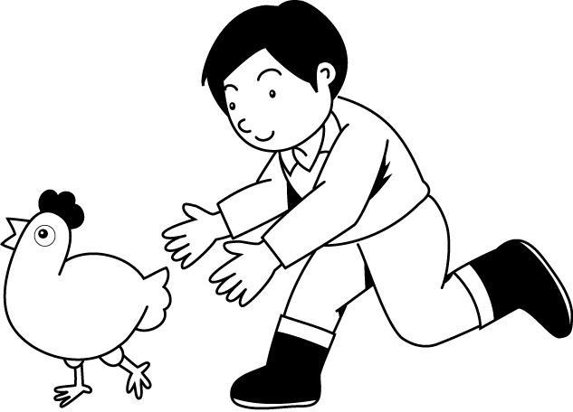 畜産14-にわとり イラスト