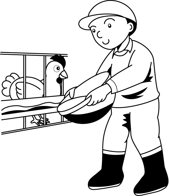 畜産18-鶏 イラスト