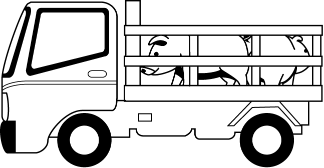 畜産25-豚 イラスト