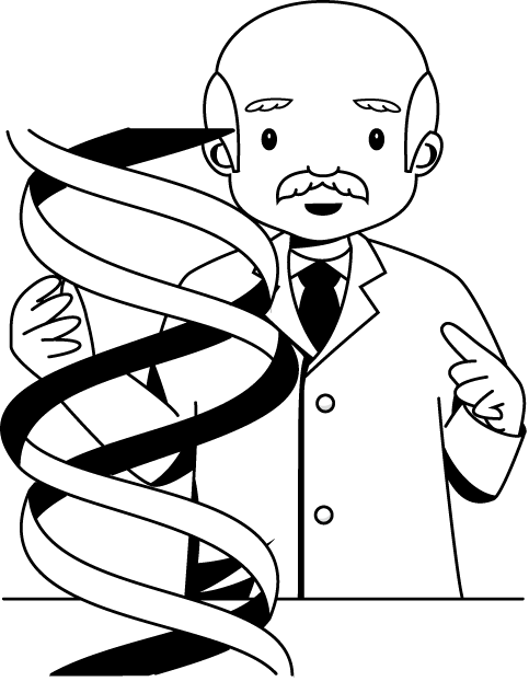 研究26-２重らせんイラスト