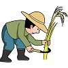稲刈りのイラスト
