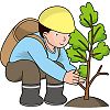 植林のイラスト
