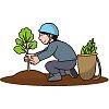 植林のイラスト