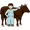 肉牛のイラスト