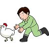 ニワトリのイラスト