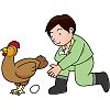 鶏と卵のイラスト