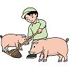 豚小屋のイラスト