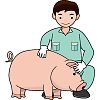 養豚のイラスト
