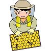 養蜂のイラスト