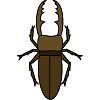 クワガタ虫