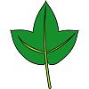 葉