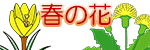 春の花