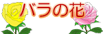 バラの花