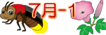 �R�J���@���[
