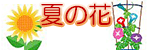 夏の花