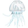 クラゲ