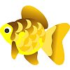 金魚