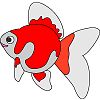 金魚