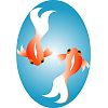 金魚