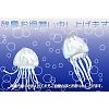 クラゲ
